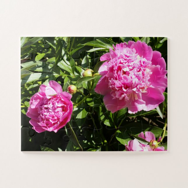 Puzzle Dark rose peonies (Horizontal)