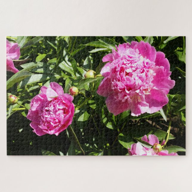 Puzzle Dark rose peonies (Horizontal)