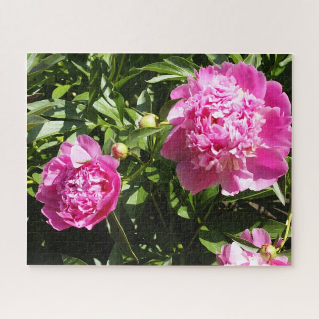 Puzzle Dark rose peonies (Horizontal)