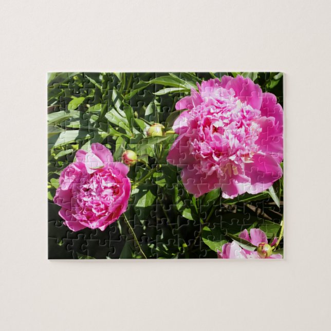 Puzzle Dark rose peonies (Horizontal)