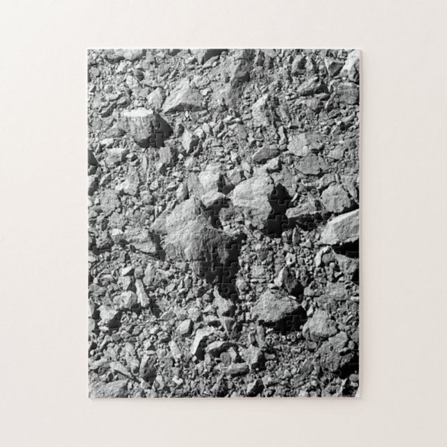 Puzzle DART Dimorphos Asteroid Moonlet Surface (Vertical)