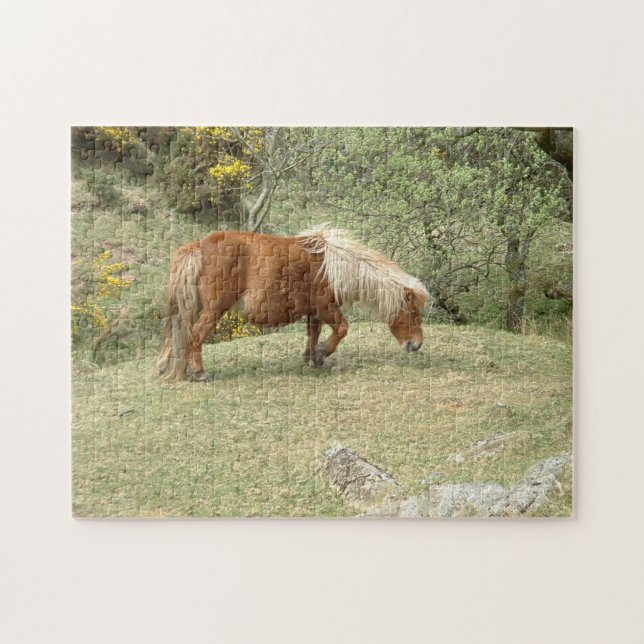 Puzzle Dartmoor Ponny, Chevaux anglais sauvages/Grande-Br (Horizontal)