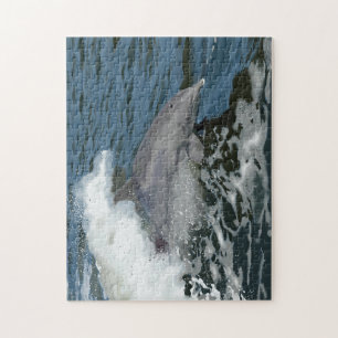 Puzzle Dauphin de Cruisin