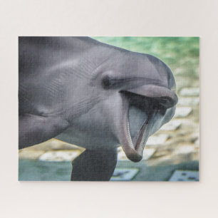 Puzzle Dauphin des images de Getty