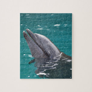 Puzzle Dauphin en vert