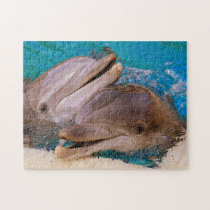 Puzzle Dauphins au Nevada.