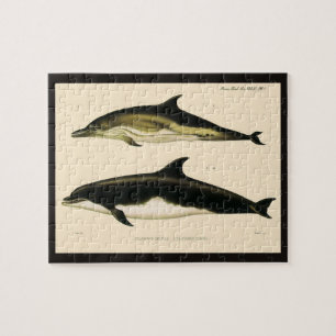 Puzzle Dauphins vintage, mammifères marins Animaux 