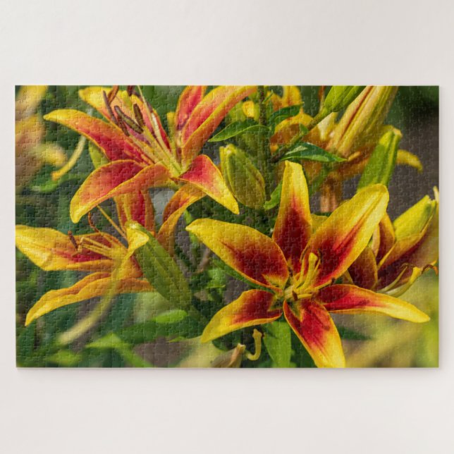 Puzzle Daylily Orange Canadian Flower Photography (Horizontal)