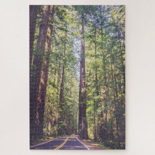 Puzzle de 1000 pièces Humboldt Trees Redwood Fores