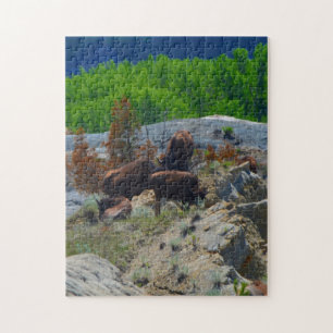 Puzzle de bad-lands