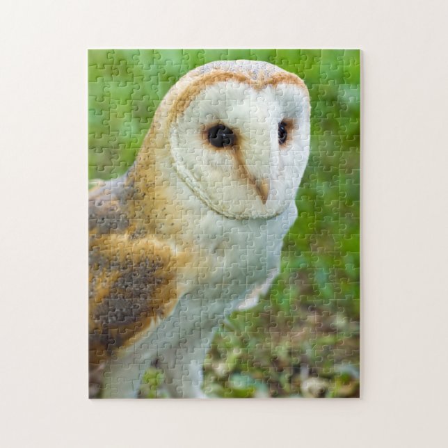 Puzzle de Barn Owl Jigsaw (Vertical)