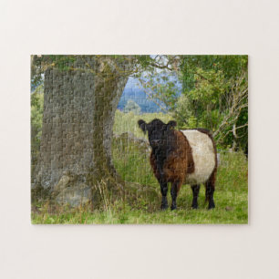 Puzzle de Beltie