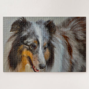 Puzzle de Berger des Shetland.