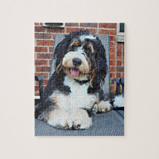 Puzzle de Berneoodle