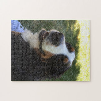 Puzzle de Bernese