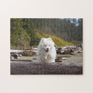 Puzzle de billes de coco