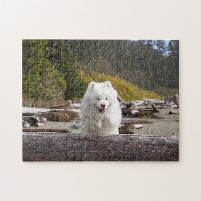 Puzzle de billes de coco (Horizontal)