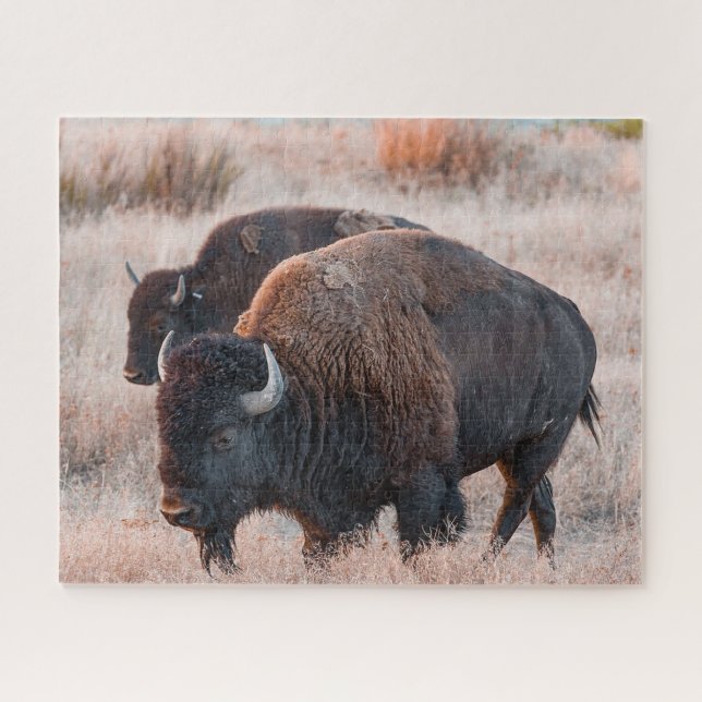 Puzzle de Bison Jigsaw (Horizontal)