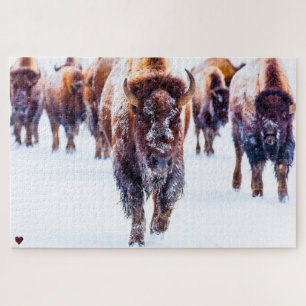 Puzzle de bisons Yellowstone Wyoming