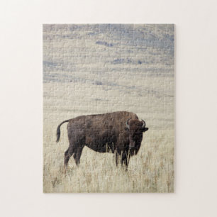 Puzzle de Buffalo