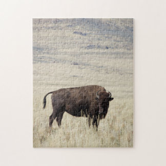 Puzzle de Buffalo