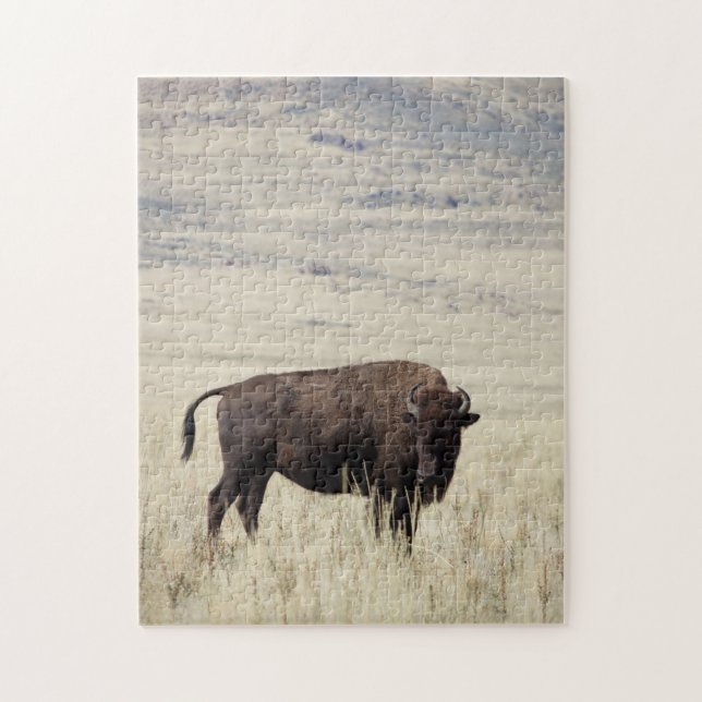 Puzzle de Buffalo (Vertical)