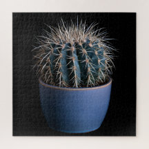 Puzzle de Cactus