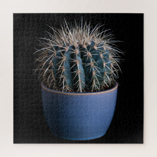 Puzzle de Cactus