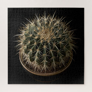 Puzzle de Cactus