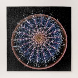 Puzzle de Cactus