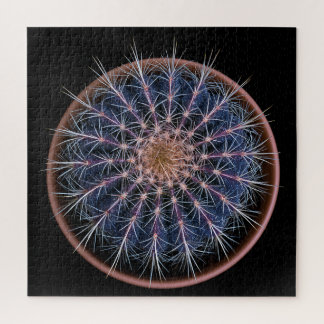 Puzzle de Cactus