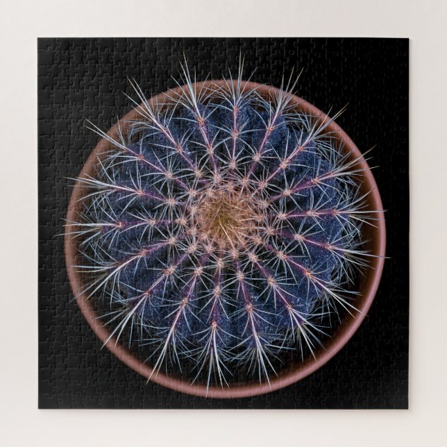 Puzzle de Cactus (Vertical)