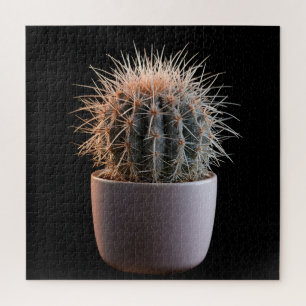 Puzzle de Cactus