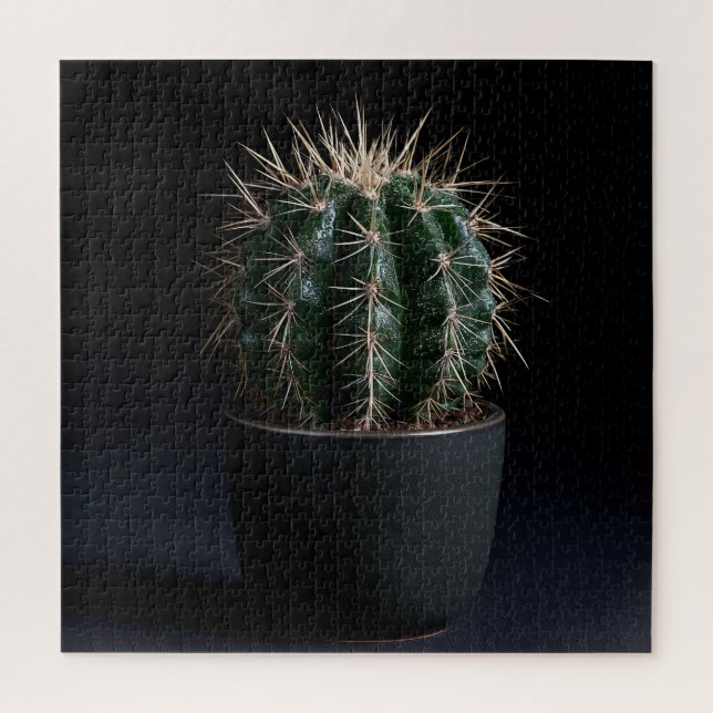 Puzzle de Cactus (Vertical)