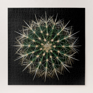 Puzzle de Cactus