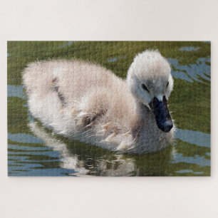 puzzle de canard 