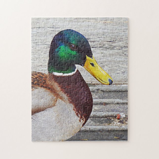 Puzzle de canard de Mallard (Vertical)