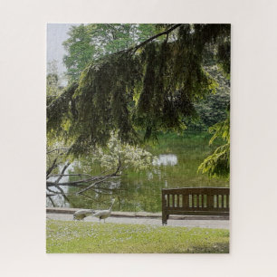 Puzzle de canard ornemental Puzzle