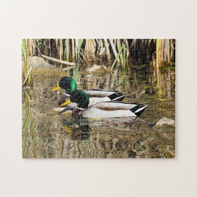 Puzzle de canards de Mallard (Horizontal)