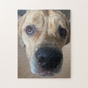 Puzzle de Cane Corso