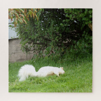 Puzzle de casse-tête d'écureuil albinos