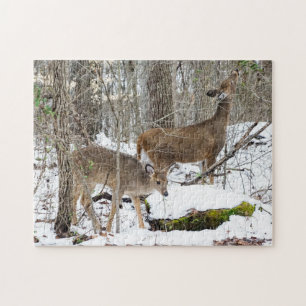 Puzzle de cerfs à queue blanche