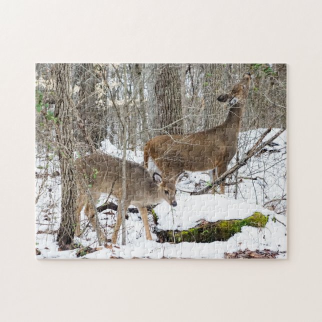 Puzzle de cerfs à queue blanche (Horizontal)