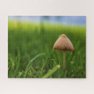 Puzzle de champignons très difficile