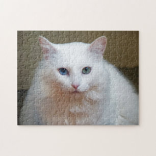 Puzzle de chat blanc