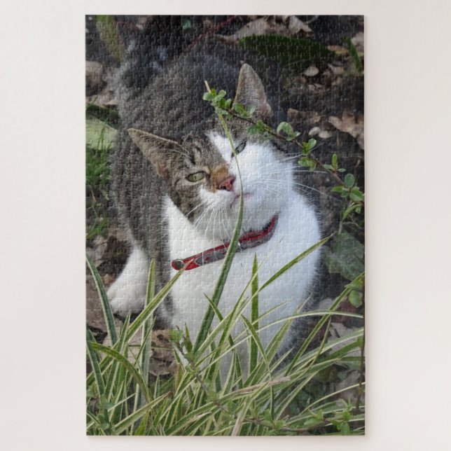 Puzzle de chat blanc gris mou (Vertical)