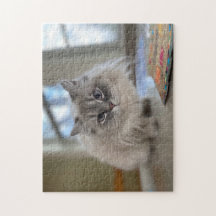 Puzzle de chat de l'Himalaya persan