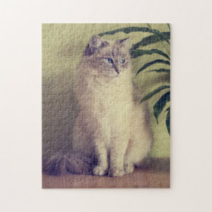 Puzzle de chat de Ragdoll