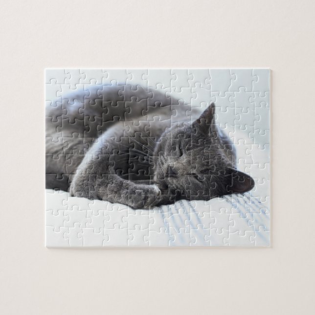 Puzzle de chat gris mou (Horizontal)