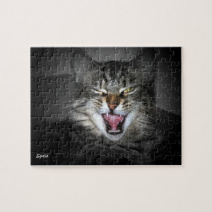 Puzzle de chat Maine Coon